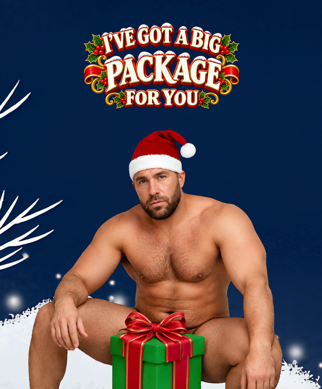 T-shirt drôle Père Noël « I’ve Got a Big Package for You »